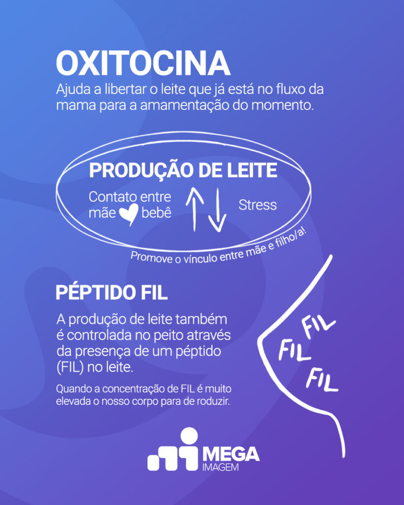 Dados Ocitocina