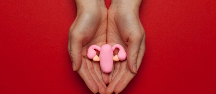 O Fantasma da Endometriose: Entendendo, Aceitando e Enfrentando