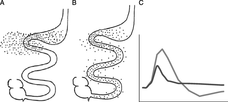 método de absorção do intestino com utilização do psyllium