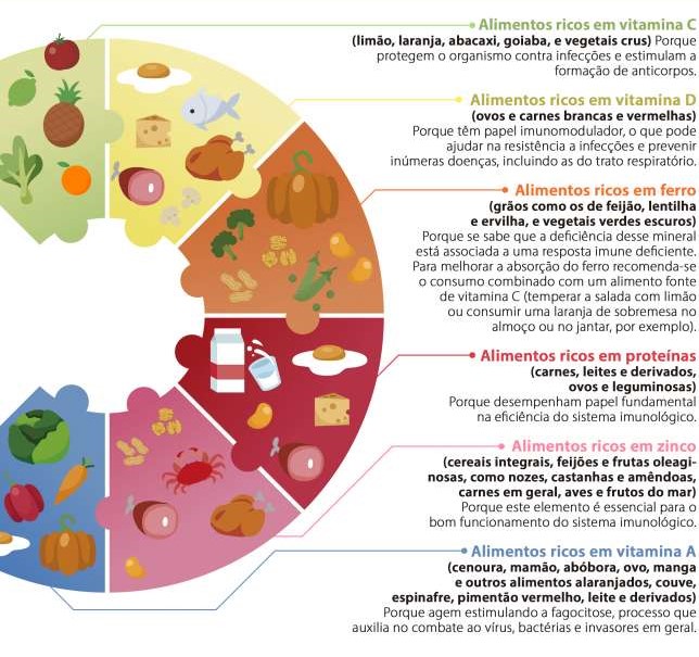 alimentos saudáveis