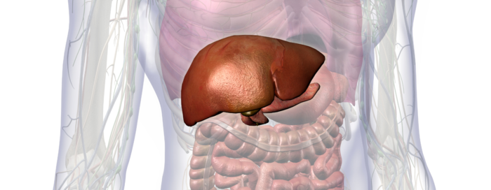 Cisto no Pâncreas: sintomas e Diagnóstico