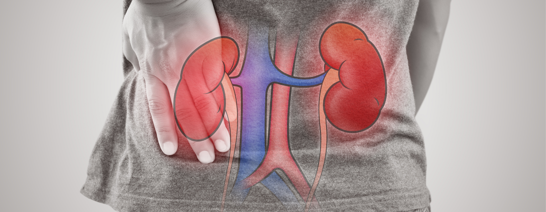 Insuficiência Renal: Causas, Sintomas e Tratamentos