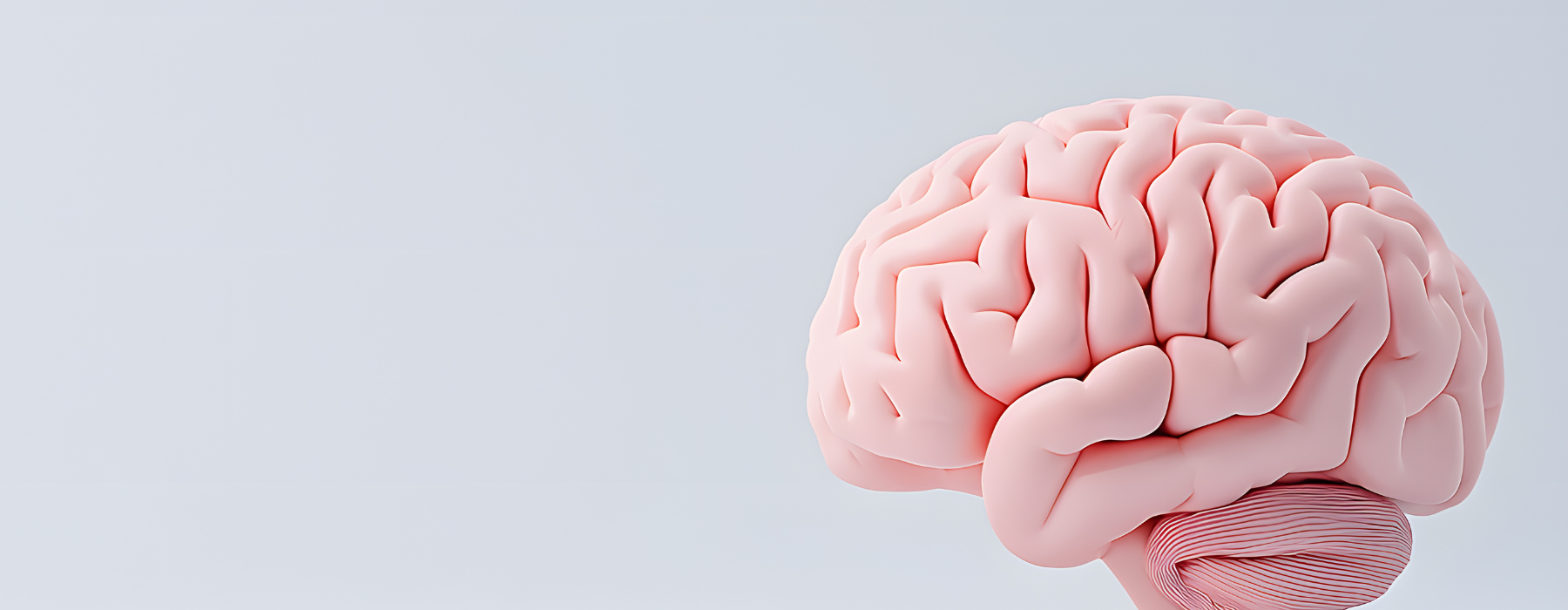 Ilustração de um cérebro humano sobre fundo branco