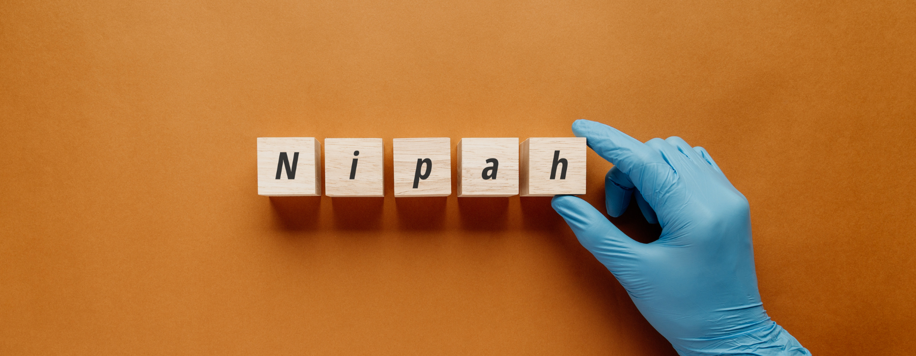 Blocos de madeira formando a palavra Nipah, representando o vírus Nipah e o alerta global sobre a doença.