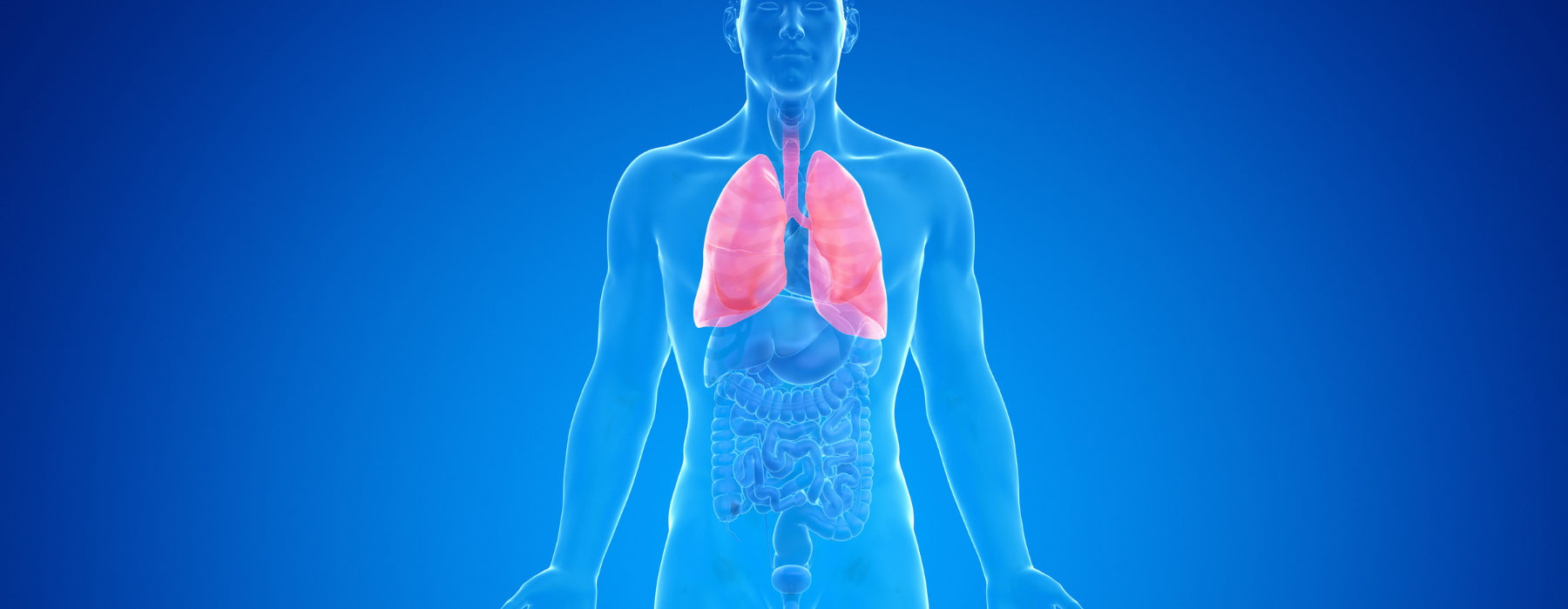 Fibrose pulmonar: o que a tomografia pode mostrar?